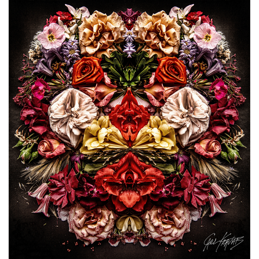 Sofia's Roses