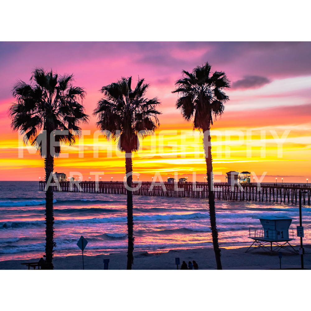Three Palm Sunset