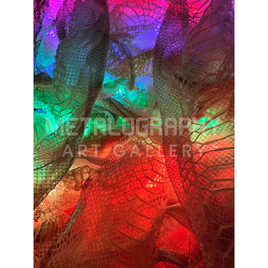 Neon Shedded Snakeskin Series #4
