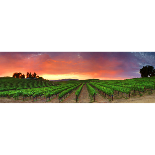 Monte Del Oro (Four Seasons)