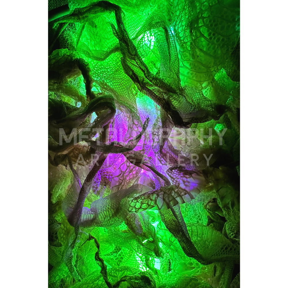 Neon Shedded Snakeskin Series #10