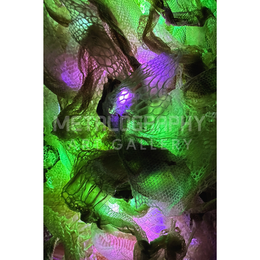 Neon Shedded Snakeskin Series  #11