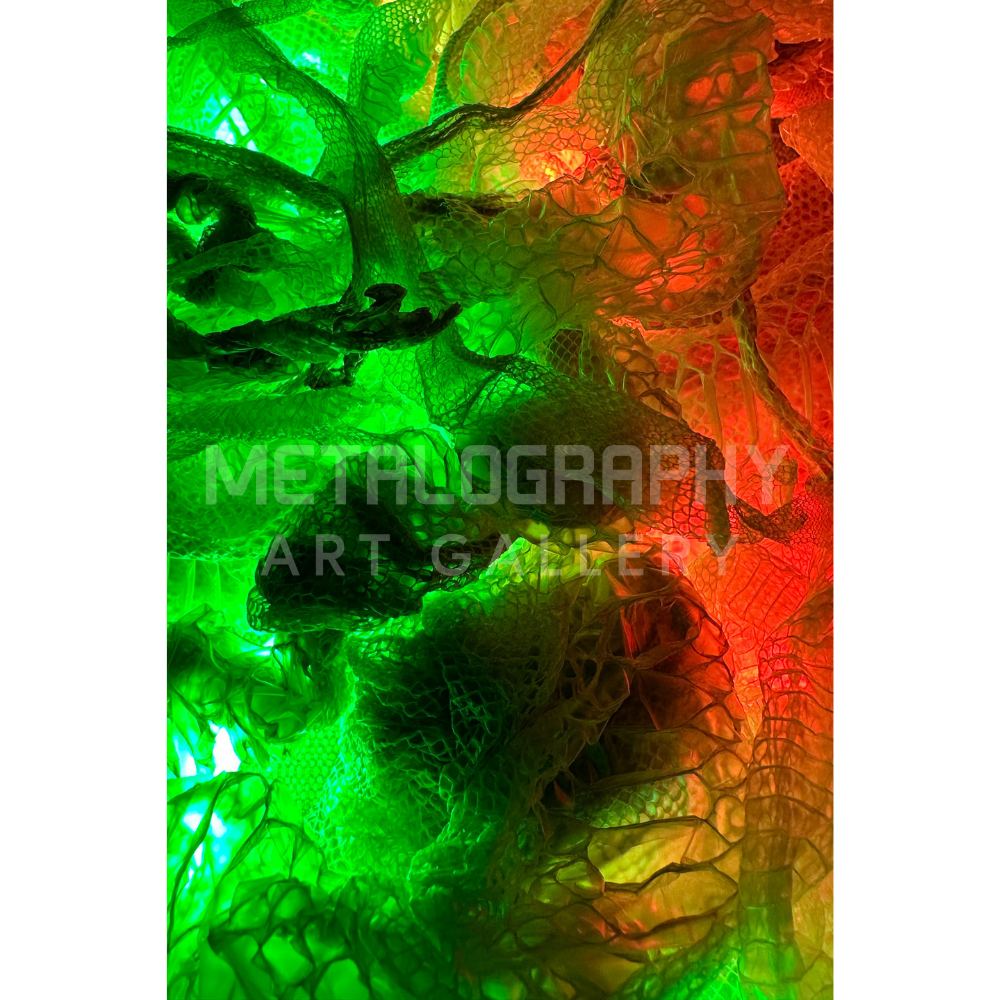 Neon Shedded Snakeskin Series  #12