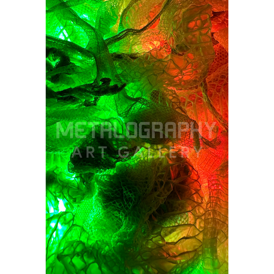 Neon Shedded Snakeskin Series  #12