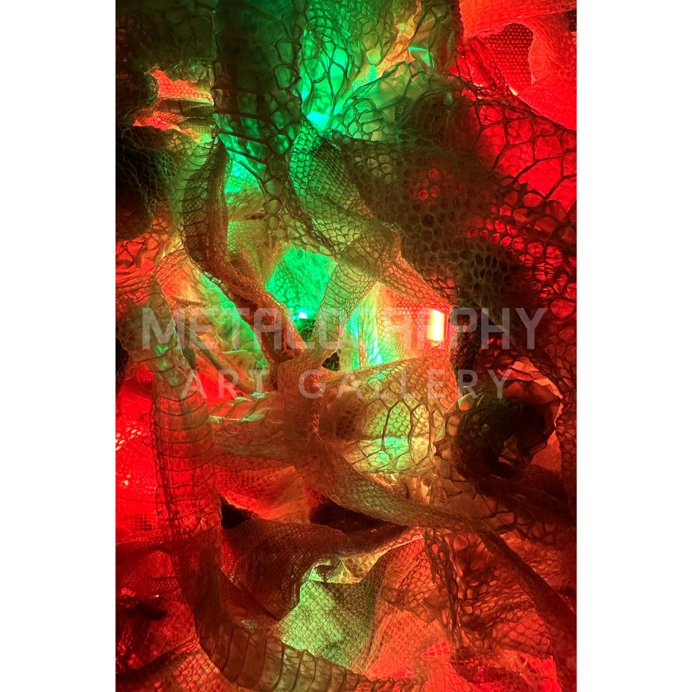 Neon Shedded Snakeskin Series #13