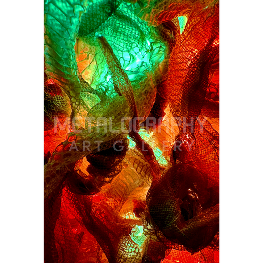 Neon Shedded Snakeskin Series  #14