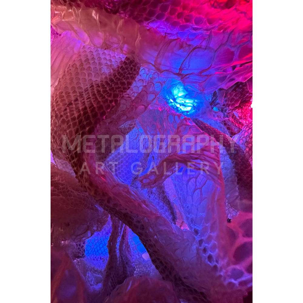 Neon Shedded Snakeskin Series #19
