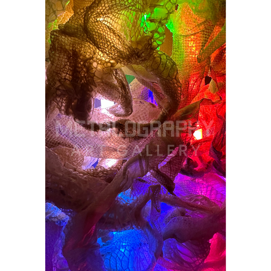 Neon Shedded Snakeskin Series  #16