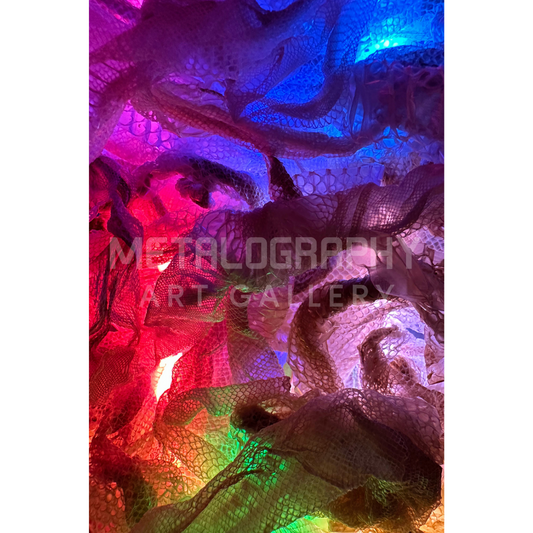 Neon Shedded Snakeskin Series  #15