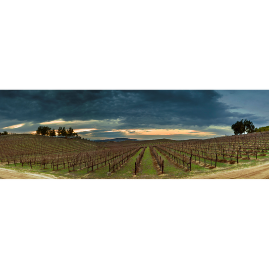 California Vintage Winter (Four Seasons)