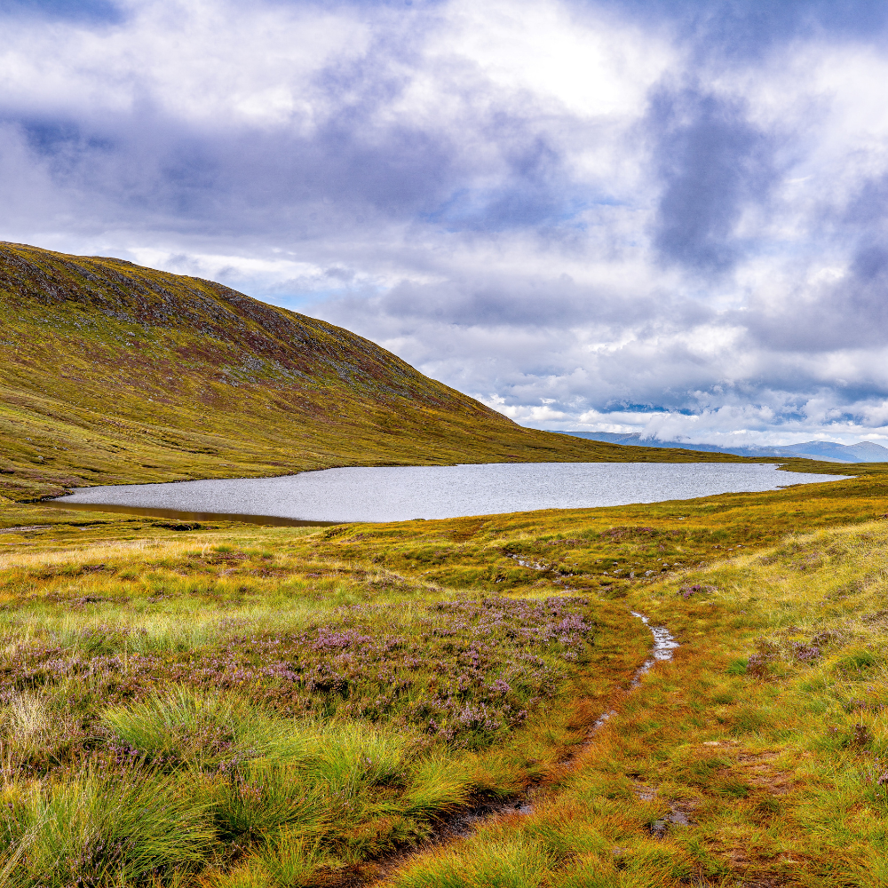Lone Lake
