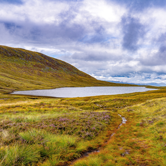Lone Lake