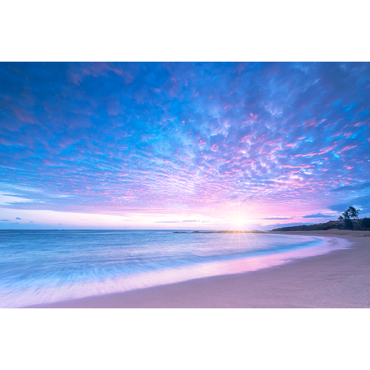 Aloha