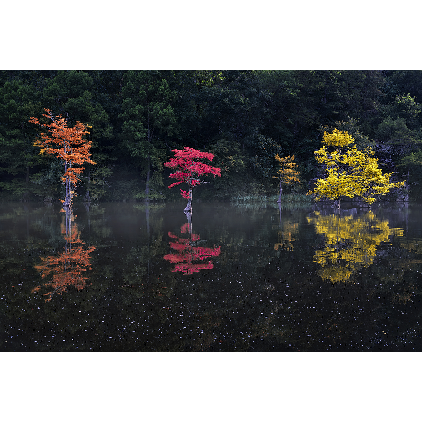 Colours