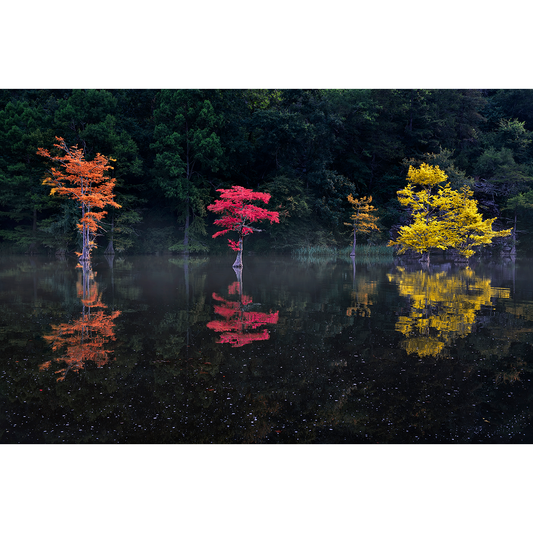 Colours