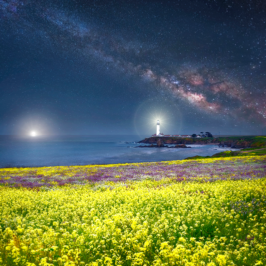 Sea of Love
