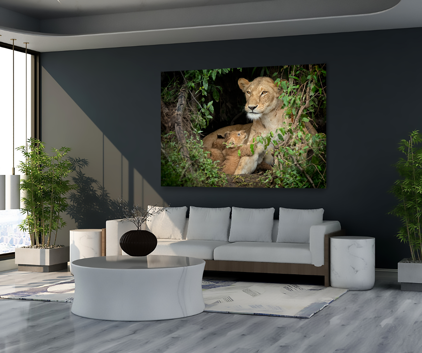Lion Cub's Love