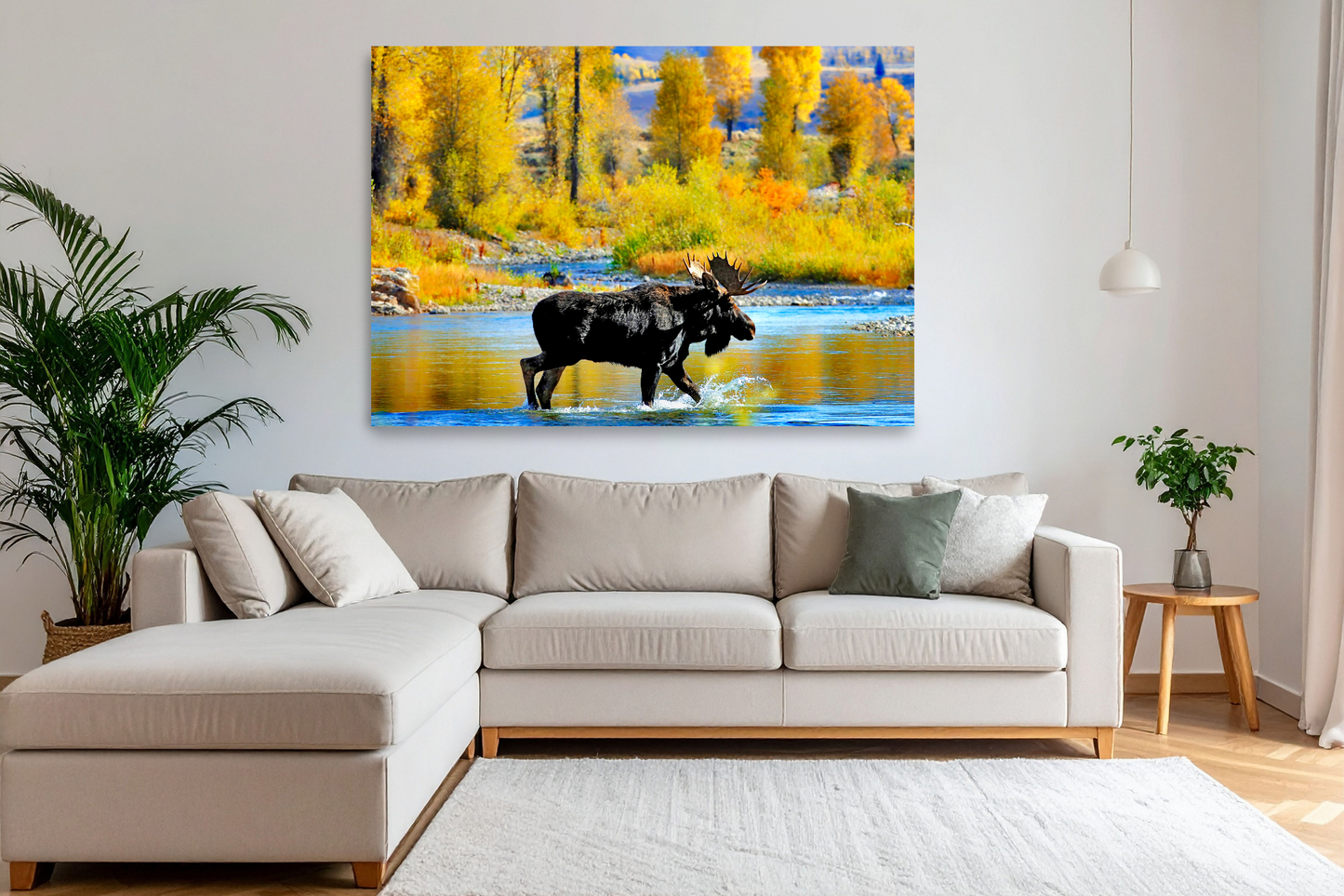 Moose Crossing, Grand Tetons National Park