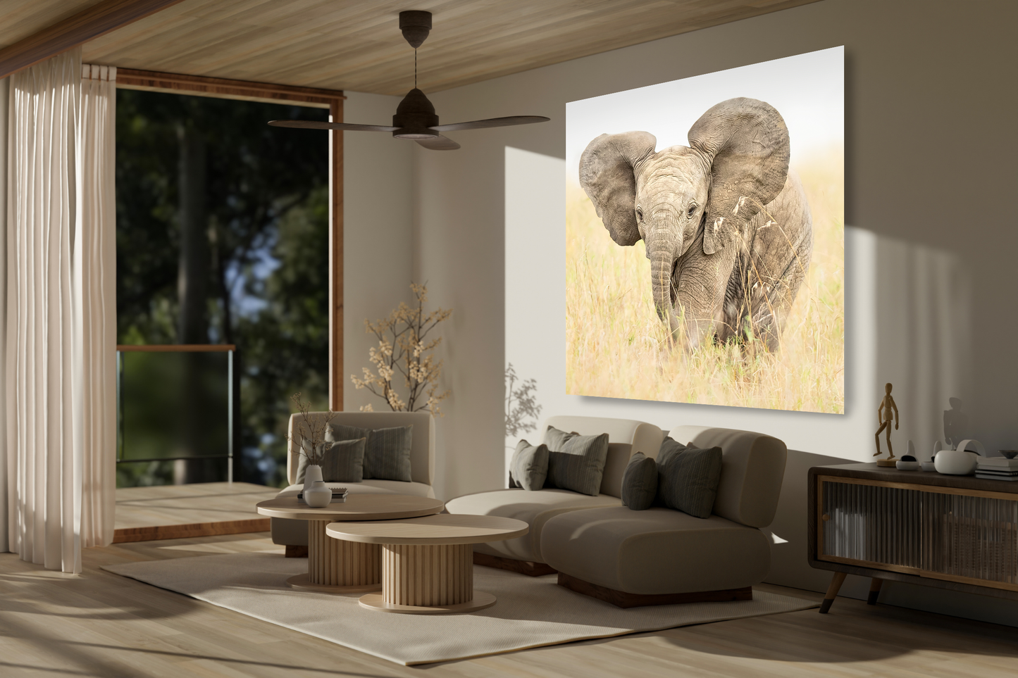 Baby Elephant