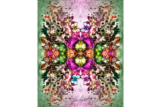 Butterflies and Flowers