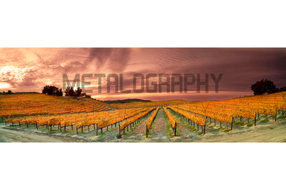 Fall Over Del Monte (Four Seasons)