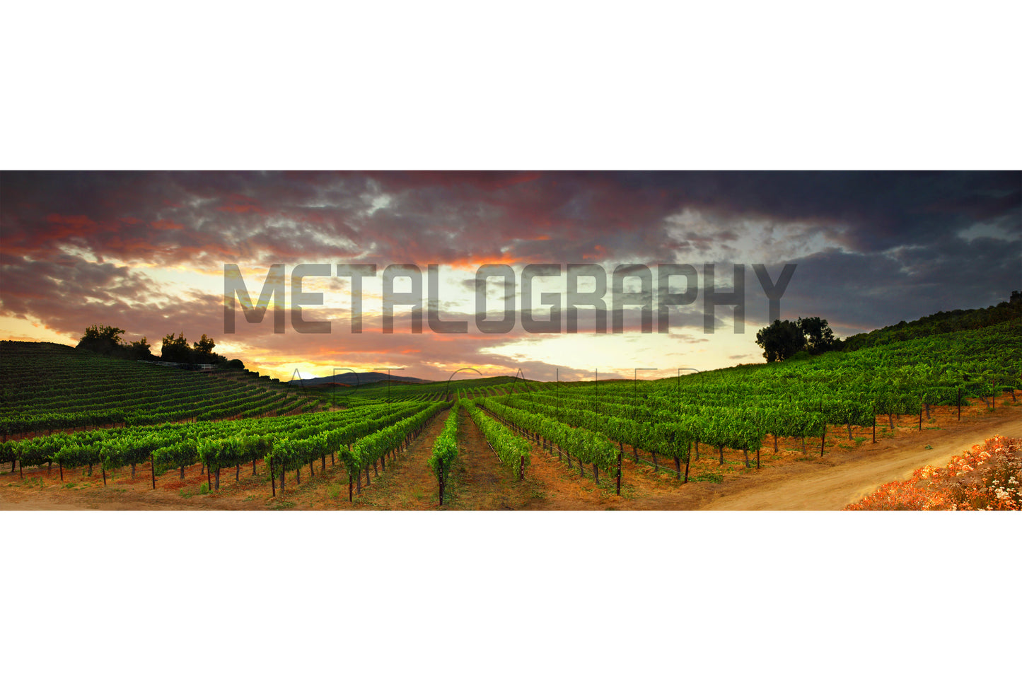 Spring Evening on Del Monte (Four Seasons)
