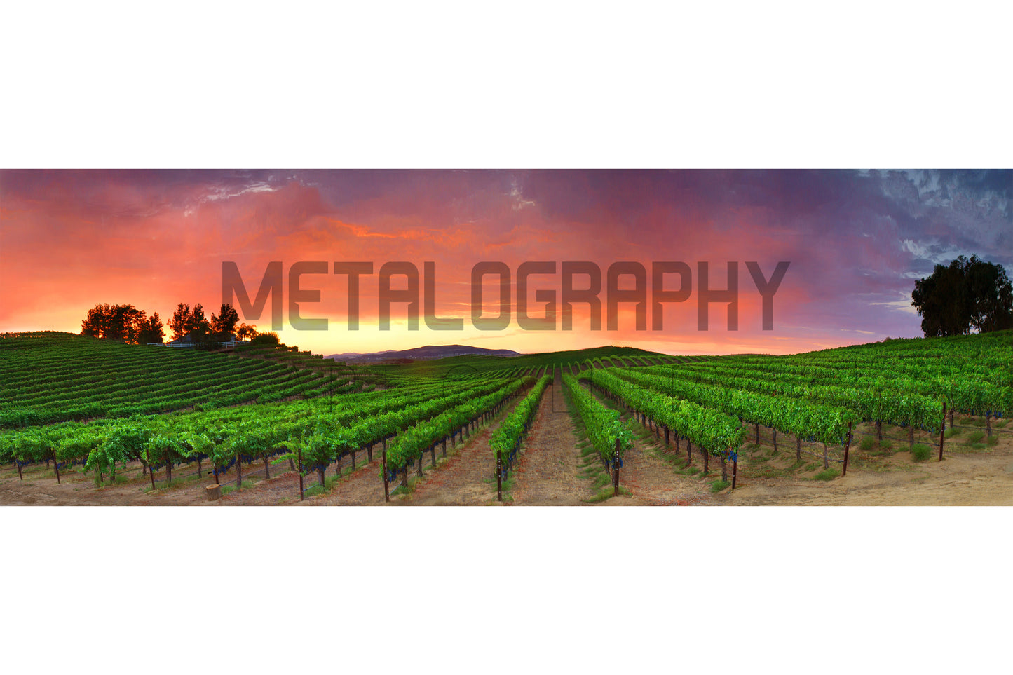 Monte Del Oro (Four Seasons)