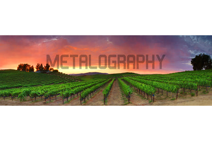 Monte Del Oro (Four Seasons)