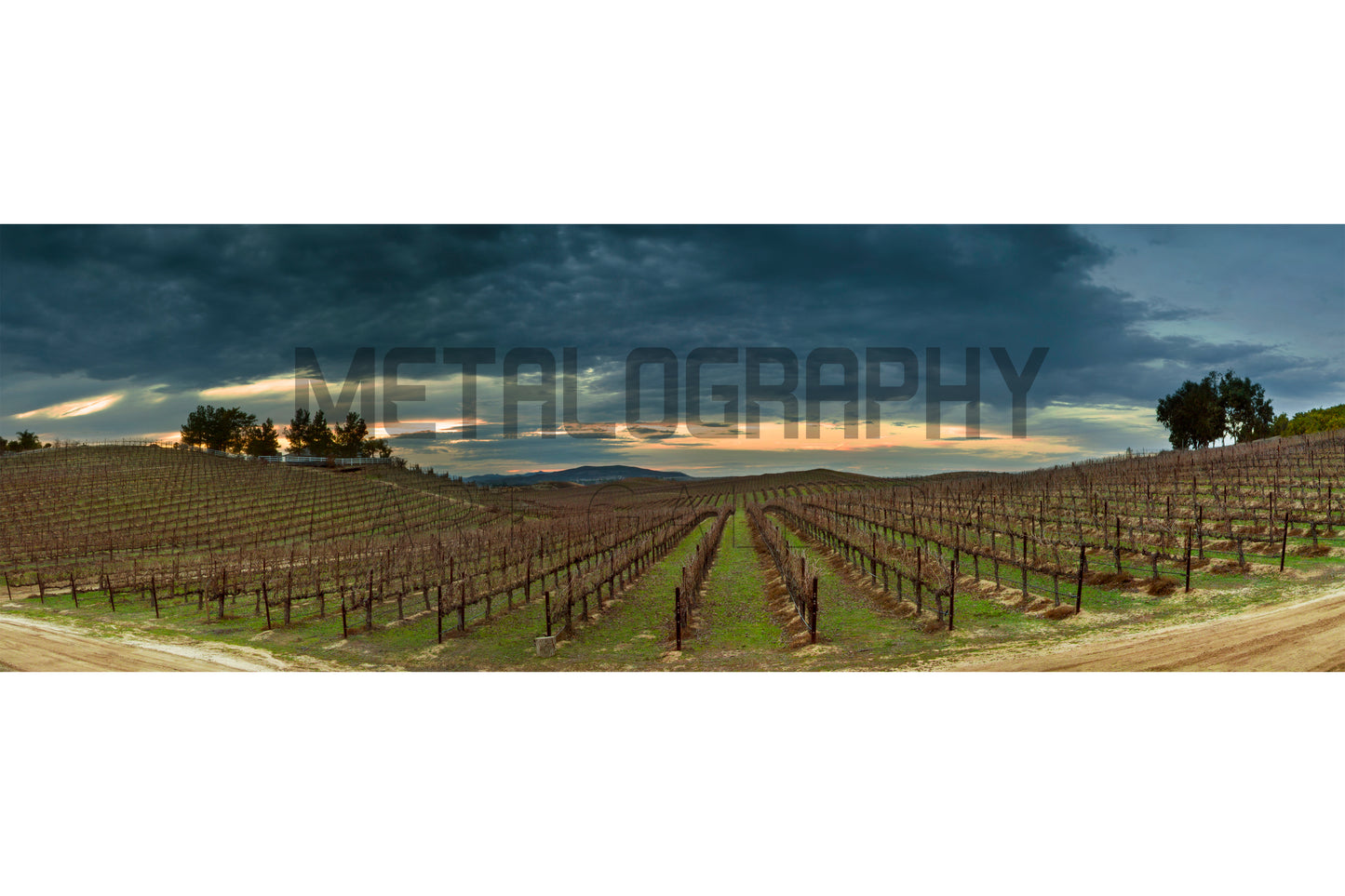 California Vintage Winter (Four Seasons)