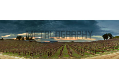 California Vintage Winter (Four Seasons)
