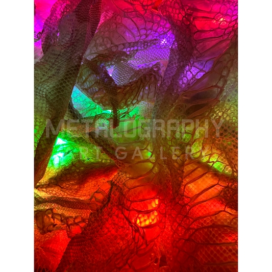 Neon Shedded Snakeskin Series #2