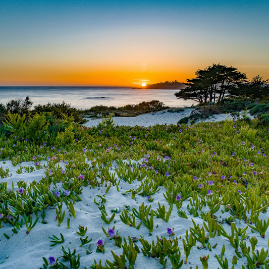 Carmel by the Sea, CA