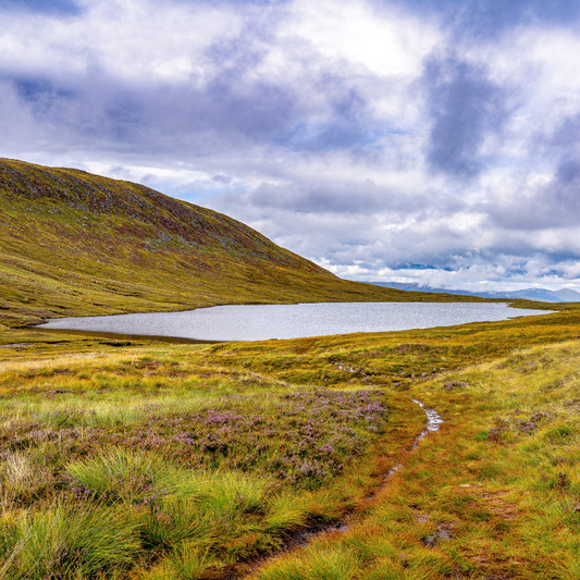 Lone Lake (Square)