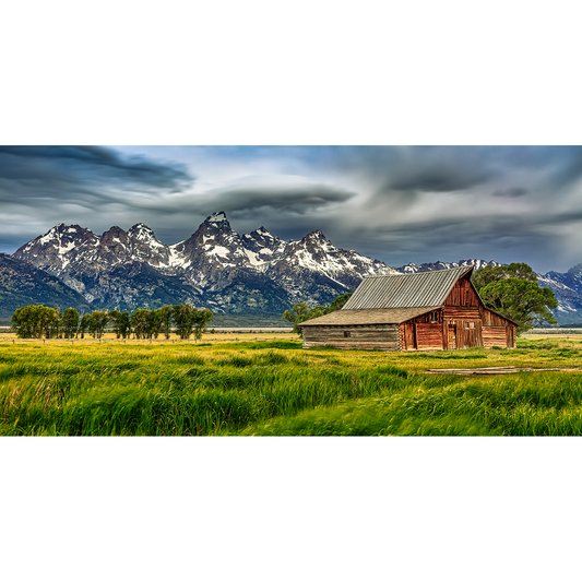 Spring Enters Grand Teton Like a Lion LIMITED EDITION