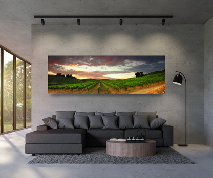 Spring Evening on Del Monte (Four Seasons)