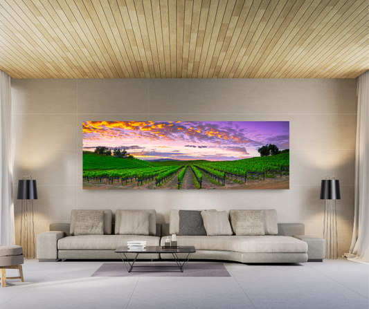 Cabernet Summer