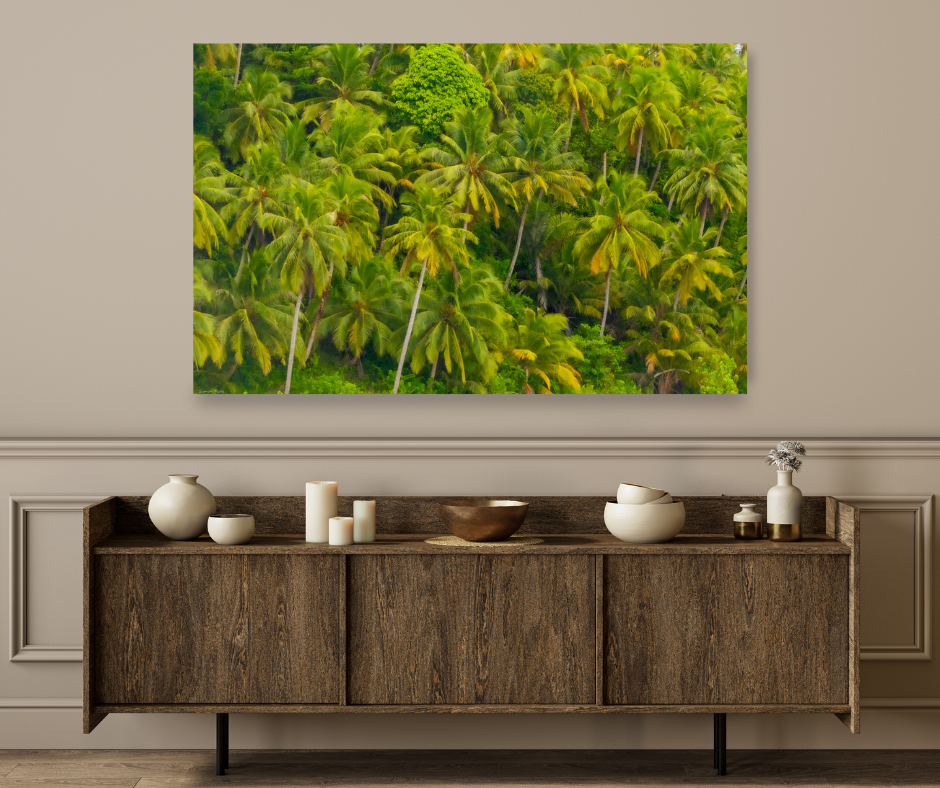 City of Palms, Mentawais