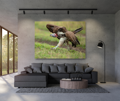 Vulture on the Run