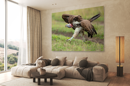 Vulture on the Run
