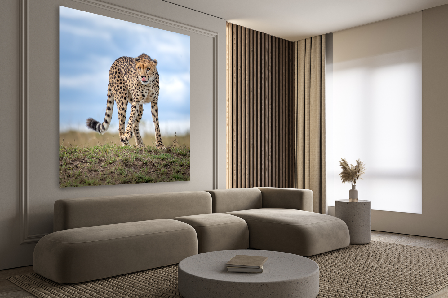 Lone Cheetah