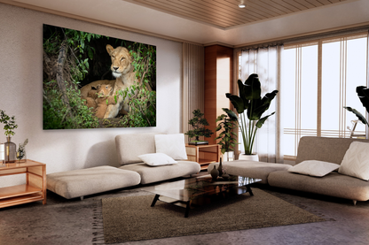 Lion Cub's Love