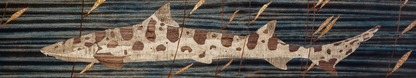 Kelp Leopard