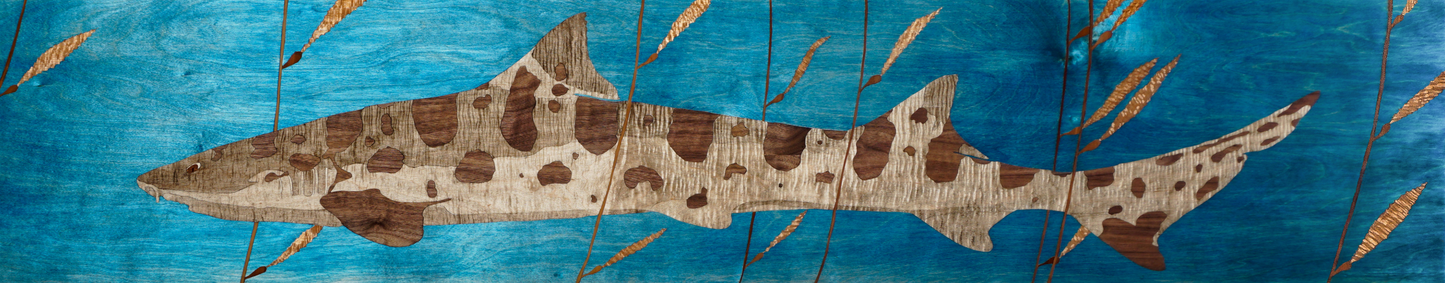 Kelp Leopard