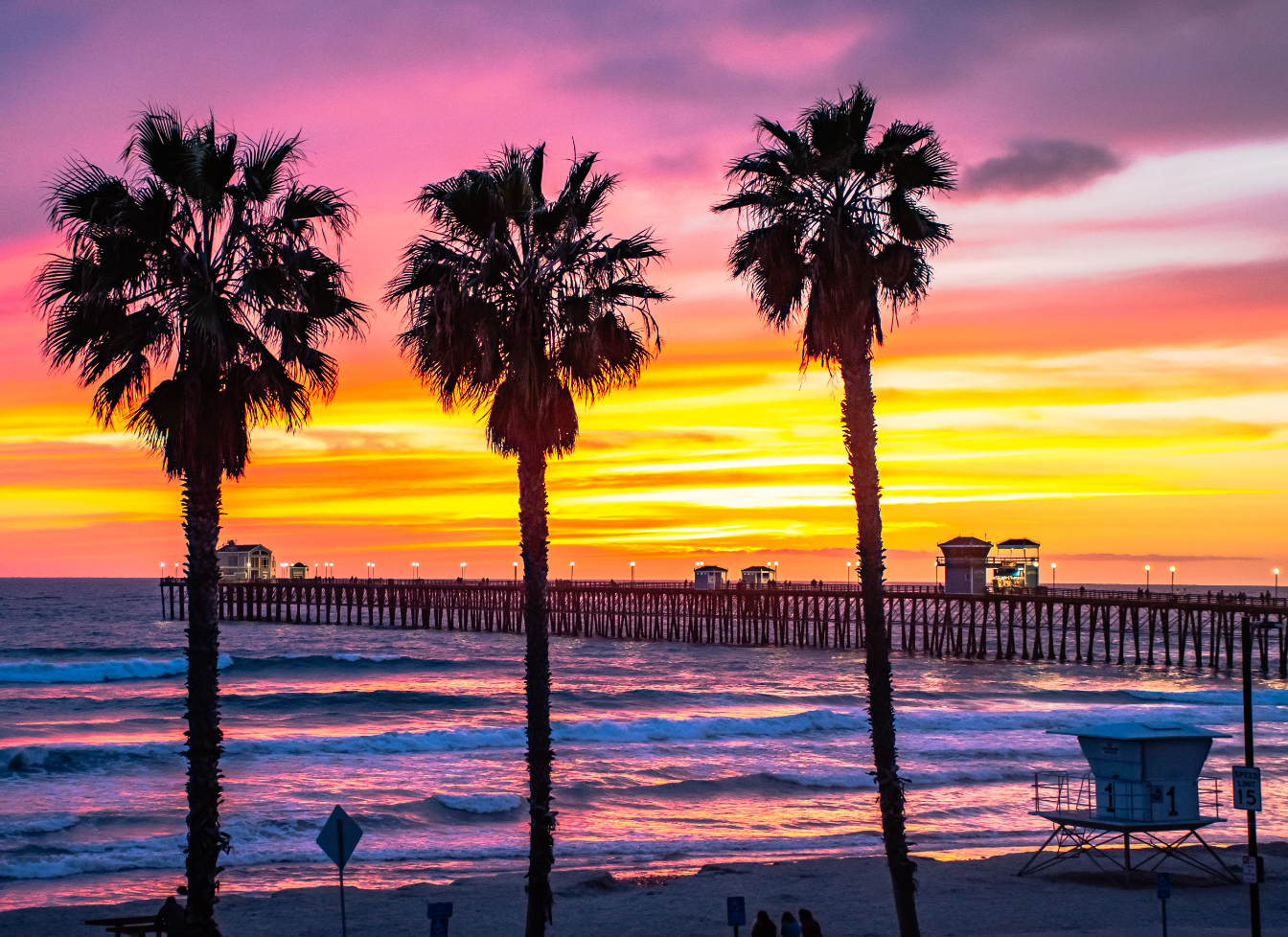 Three Palm Sunset