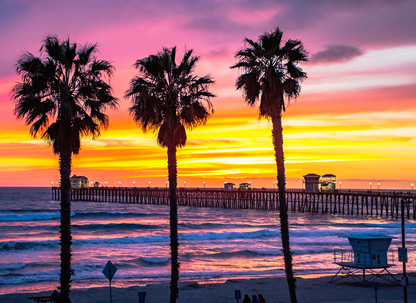 Three Palm Sunset