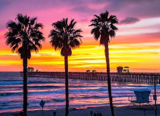 Three Palm Sunset