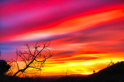 Candy Sunset
