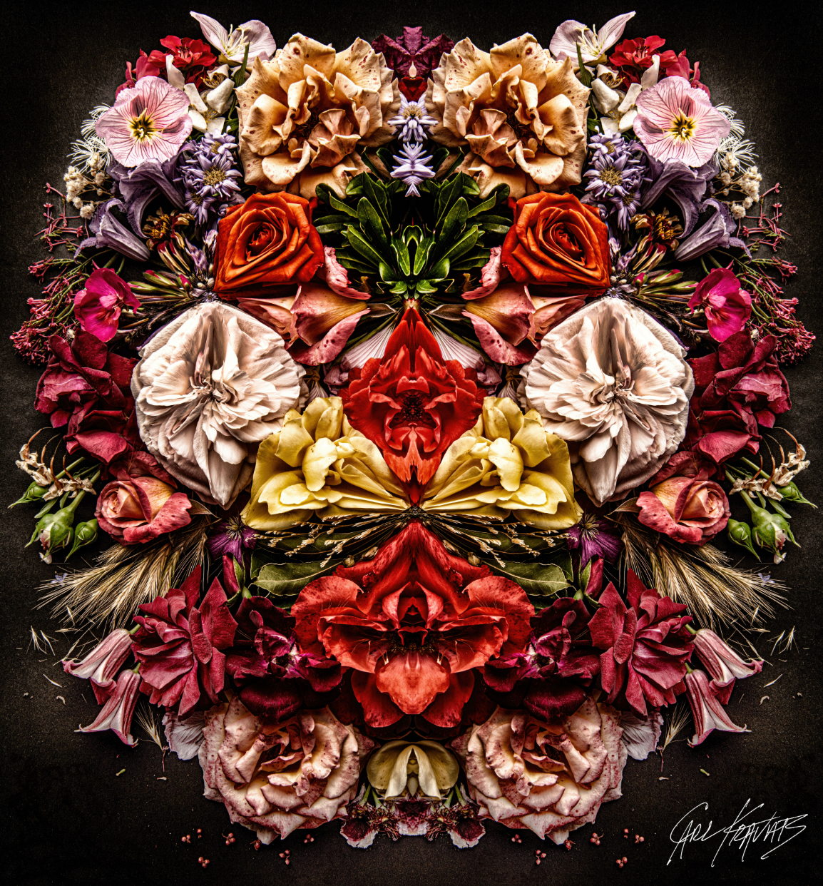 Sofia's Roses