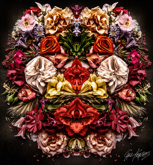 Sofia's Roses