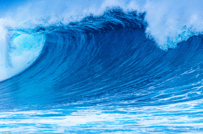 Blue Swell, Mentawais MIA Surf Camp